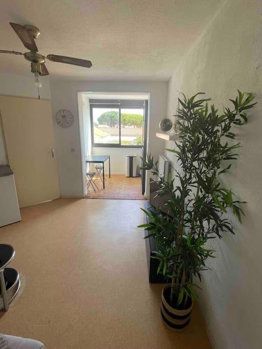 Appartement Port Leucate Exterior photo
